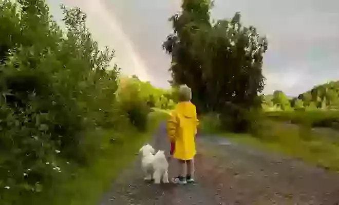 Helping Children with Pet Loss